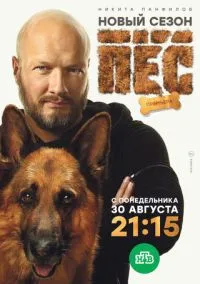 Пёс (2015) 7 сезон смотреть онлайн на лордфильм